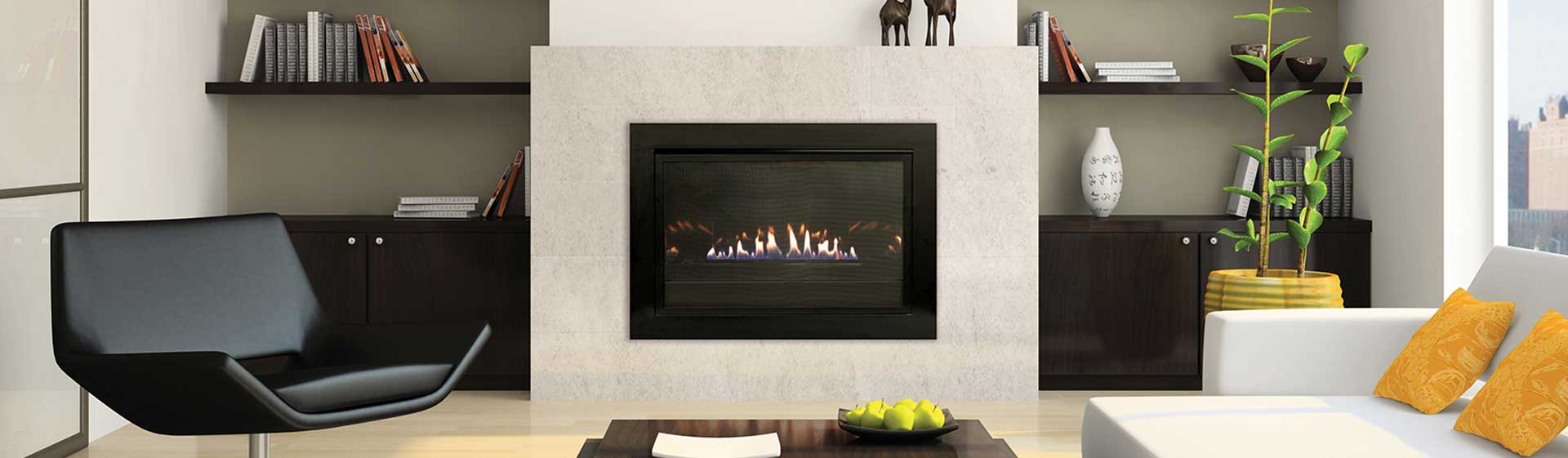 Gas Fireplace Inserts